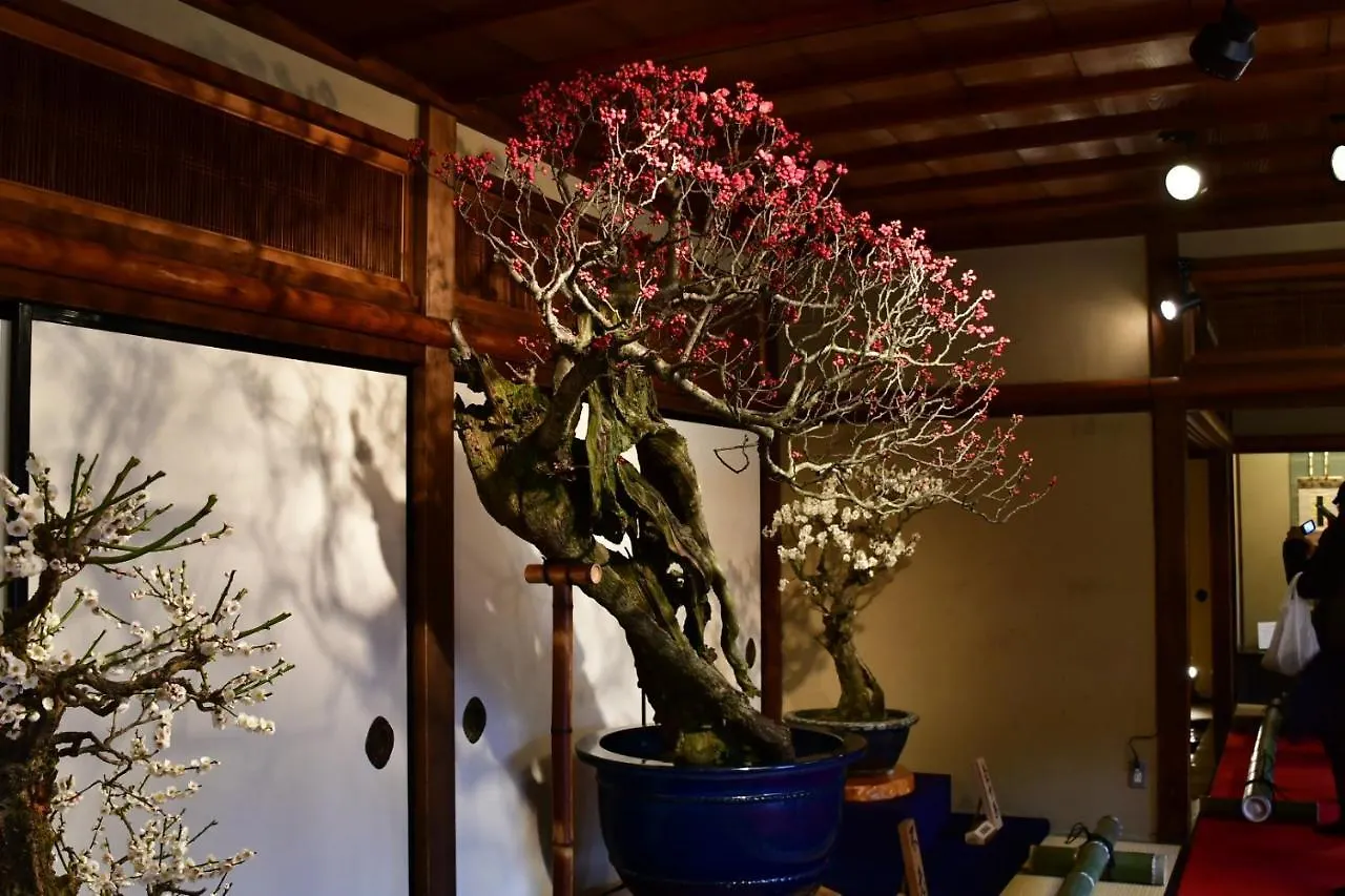 京都市Cozy House 6, Free Wifi A Rented Electric Bicycleアパートメント 京都市